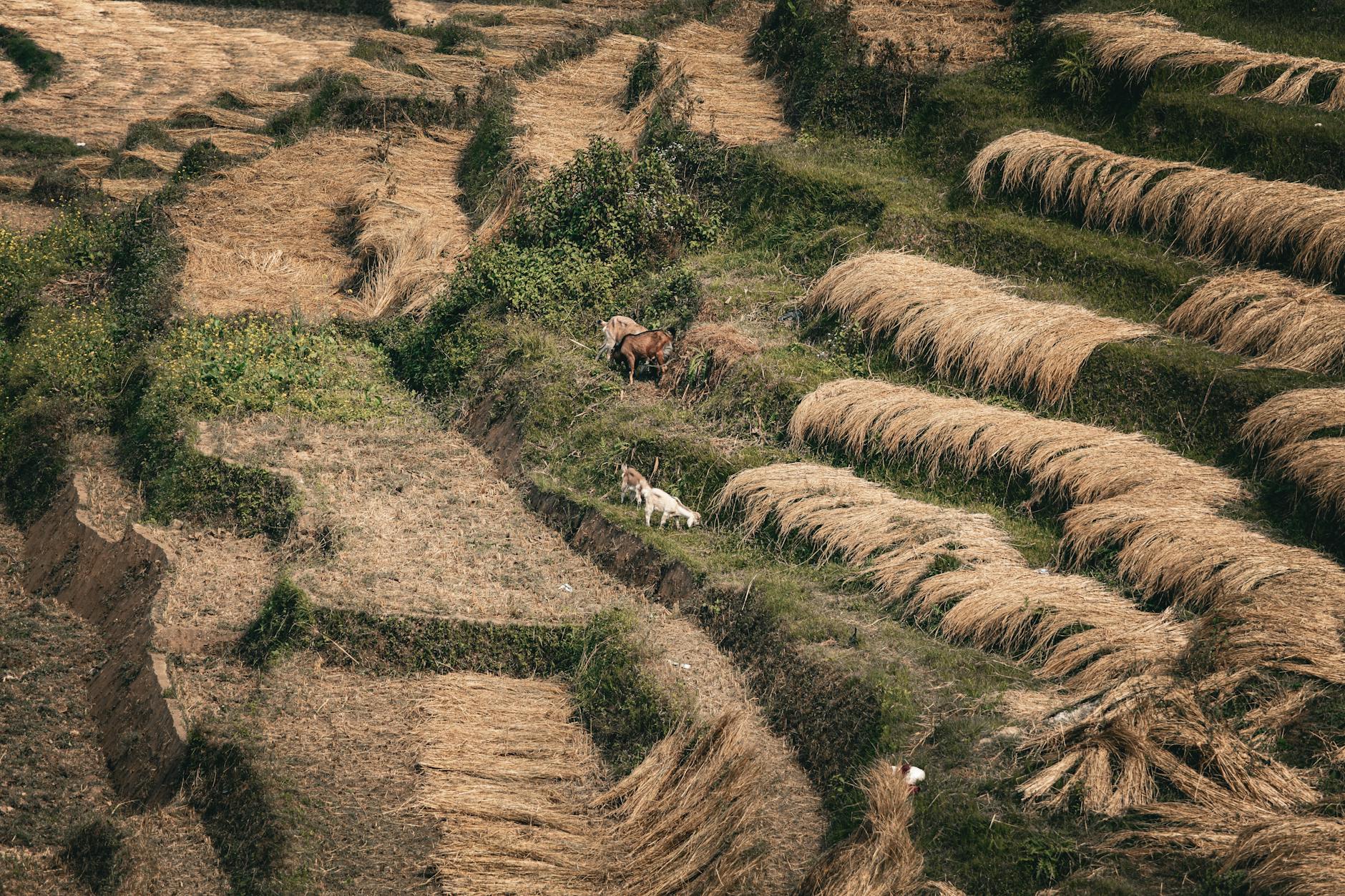 What Is Behavior Management Focuskeeper Glossary