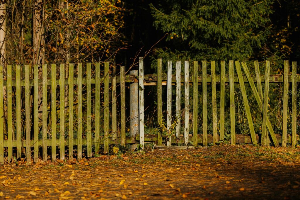 What is boundary setting skills?