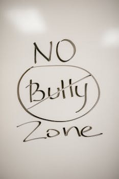 What is bullying prevention programs?