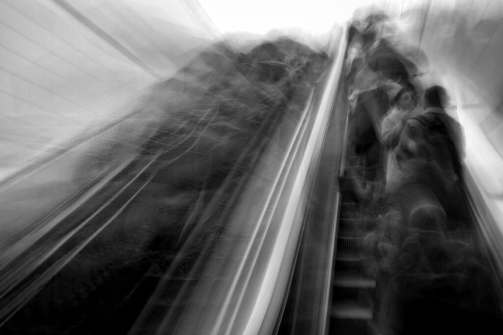 What is daily rhythms?