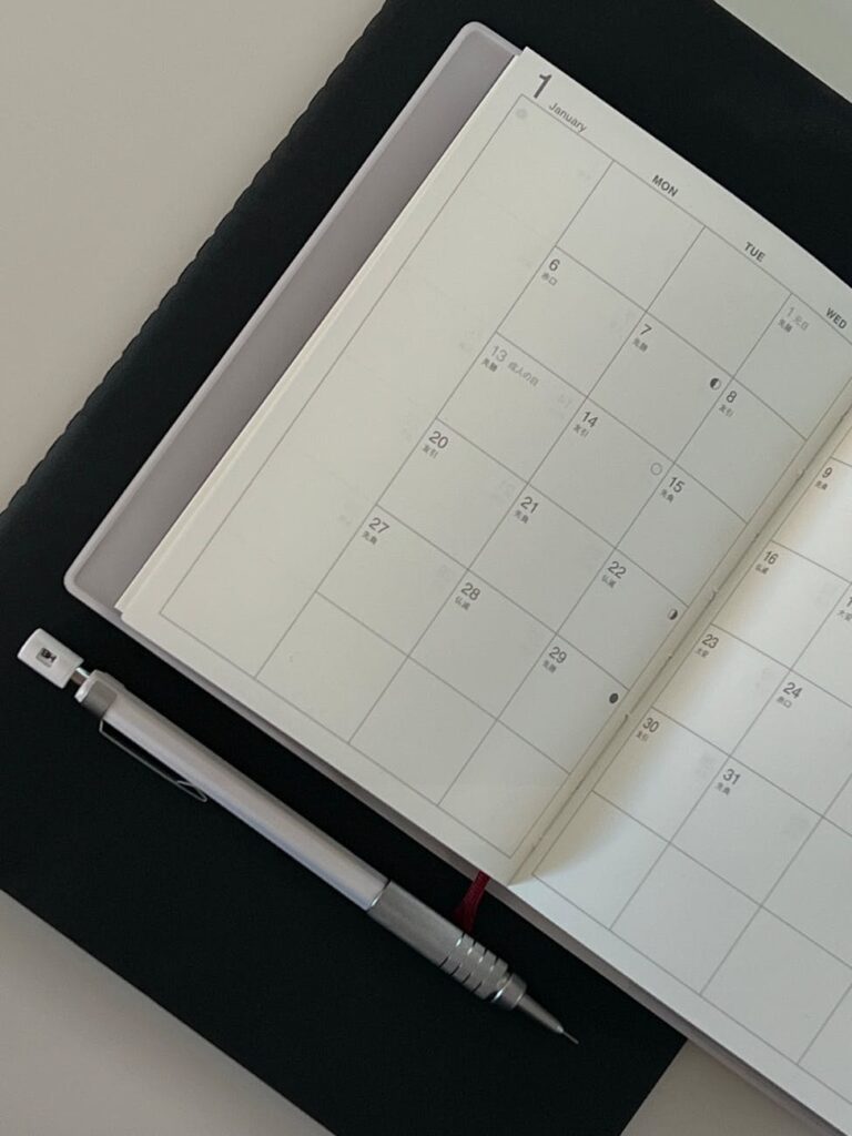 What is daily schedule organizer?