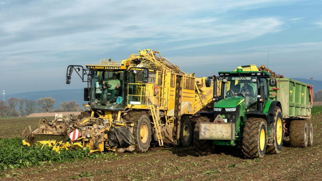 What is environmental optimization?