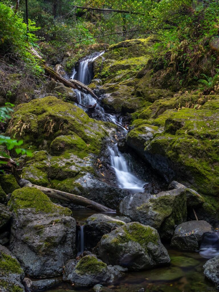 What is flow state optimization?
