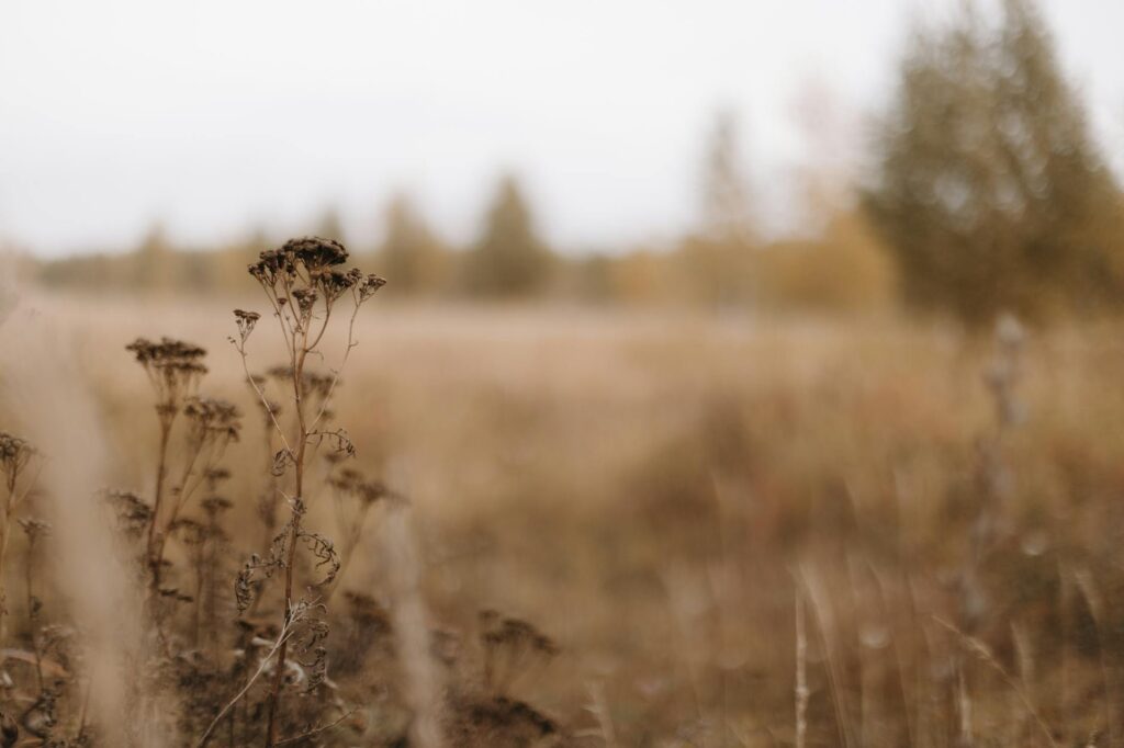 What is focus-enhancing environments?