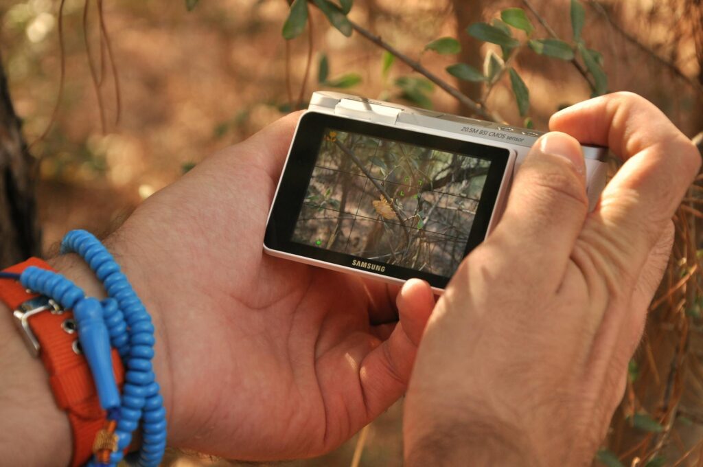 What is hobby exploration?