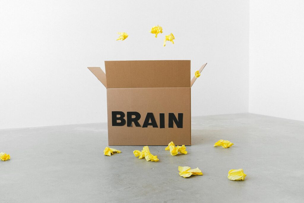 What is mental fallacies?