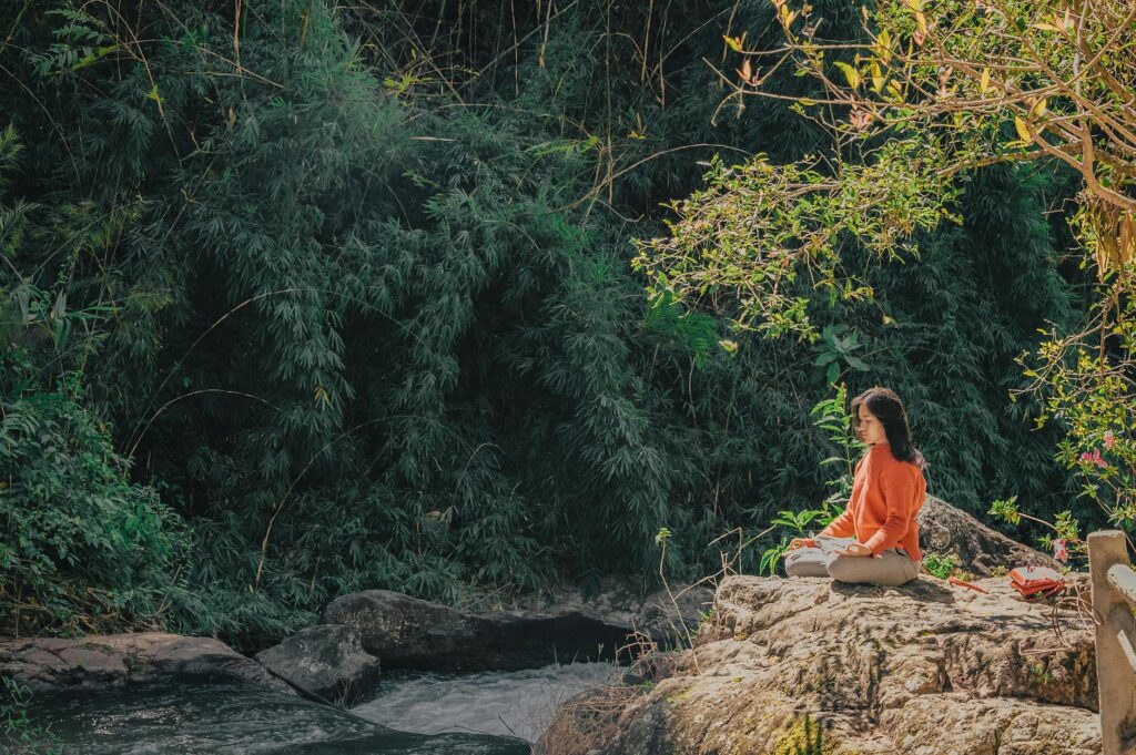 What is mindfulness retreats?