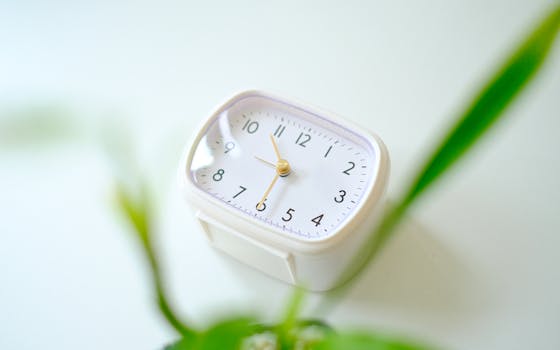 What is optimal working hours?