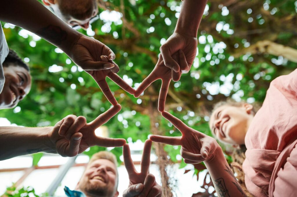 What is organizational support systems?