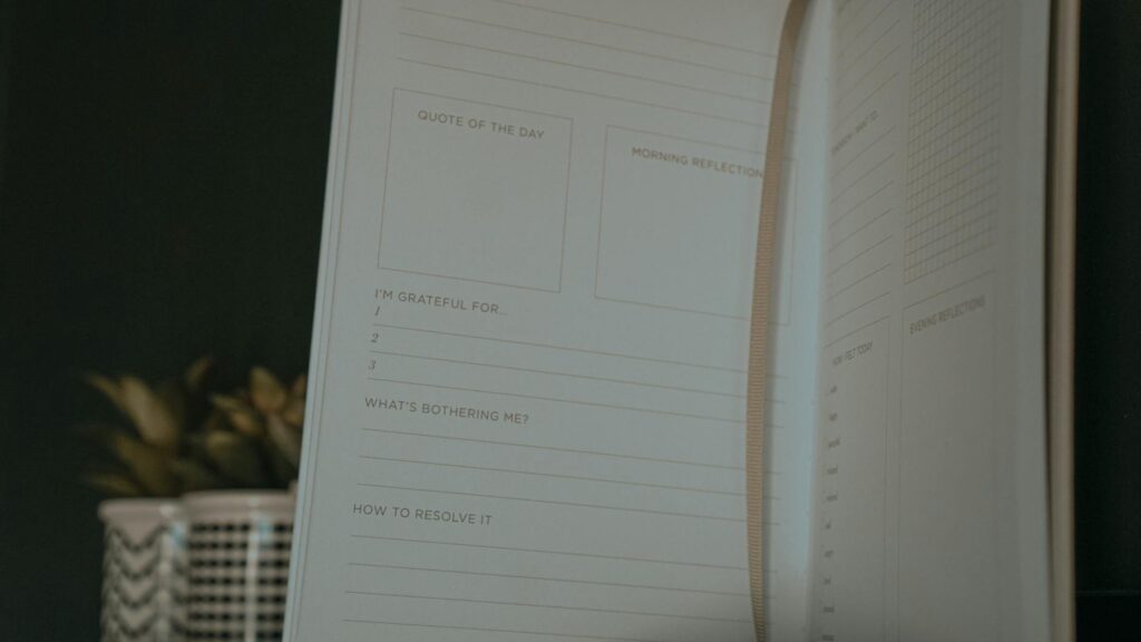 What is productive habits organizer?