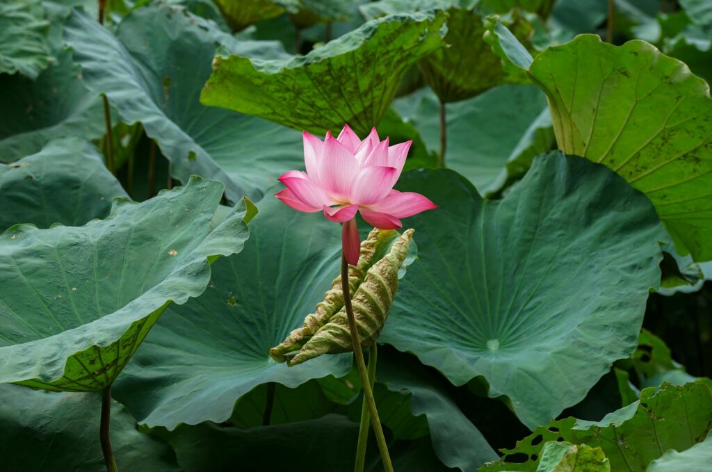 What is spiritual growth?